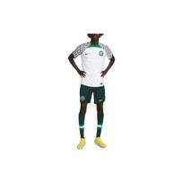 Nike Nigeria 2022/23 Match Away Jersey White/Pine Green/Black Men Streetwear DN0630-100 S white