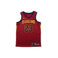 Nike NBA Icon Edition krepšinio marškinėliai, LeBron James Nr. 23 Vyriški Viršutiniai Drabužiai Komandos Raudoni 864467-677 S brown