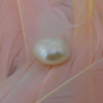 Natural Sea Pearl CERTIFIED Loose Gem 2.75 Carat White Mabe Excellent Fancy Cut 9.6 mm approx balta