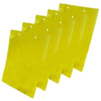 5 vnt. vabzdžių gaudyklė didelio ploto kabantys lipnios klijuotos lentos musių kenkėjų vabzdžių gaudyklė 15cm by 25cm yellow