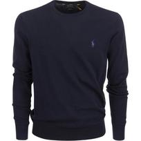 Polo Ralph Lauren FW21 Logo Embroidered Crewneck Sweater Men sweater Dark-Blue 710684957-001 S
