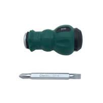 ⬡ Atsuktuvas du viename PH2/6x38 mm (CL501305, CHANGLU TOOLS)