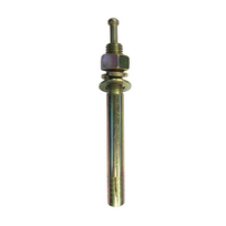 ⬡ Inkarinis varžtas M18x2,5 L160 mm (PLX002406, PULI)