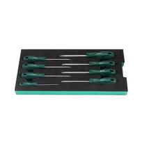 ⬡ Padėklas. Atsuktuvų rinkinys 8 vnt. (TORX) (ST09917G, SATA)