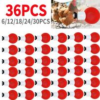 36PCS Chicken Duck Drinking Cup Automatic Drinker Chicken Feeder Plastic Poultry Farm Water Drinking Cups Feeding Watering Tools 6PCS