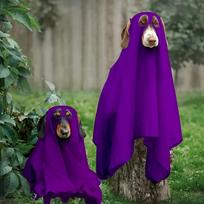 Pet Transformation Costume Breathable Dog Ghost Cape Decorative Soft Ghost Dog Cloak Scary Cat Halloween Capes Halloween violetinė