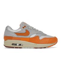 Nike Air Max 1 Master - Magma Orange Moteriški kedai Šviesiai kauliniai Neutraliai pilki DZ4709-001 40.5 gray