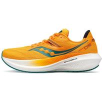 saucony Triumph 20 'Gold Palm' S20759-30 44.5