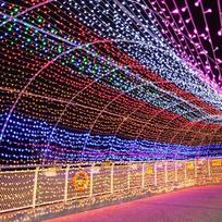 Plug-in Decorative Fairy String Lights