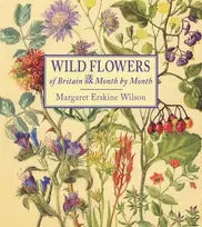 KNYGA Margaret Erskine Wilson Wild Flowers of Britain