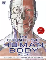 KNYGA Dk Publishing The Concise Human Body Book