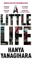KNYGA Hanya Yanagihara Little Life