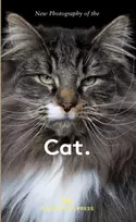 KNYGA Hoxton Mini Press New Photography of the Cat., The best new photography of cats.
