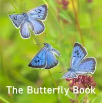 KNYGA Jane Russ Nature Book Series: The Butterfly Book