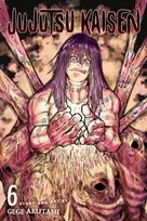 KNYGA Gege Akutami Jujutsu Kaisen, Vol. 6