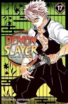 KNYGA Koyoharu Gotoge Demon Slayer: Kimetsu no Yaiba, Vol. 17