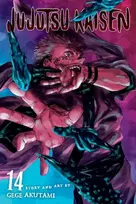 KNYGA Gege Akutami Jujutsu Kaisen, Vol. 14