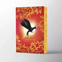 KNYGA Suzanne Collins Catching Fire Deluxe