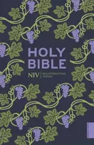 KNYGA New International Version NIV Holy Bible (Hodder Classics)