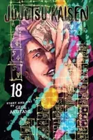 KNYGA Gege Akutami Jujutsu Kaisen, Vol. 18