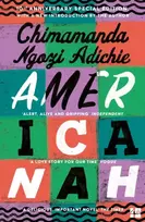 KNYGA Chimamanda Ngozi Adichie Americanah