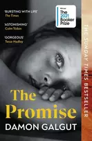 KNYGA Damon Galgut The Promise