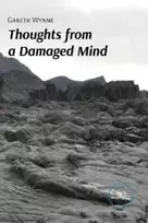 KNYGA Gareth Wynne THOUGHTS FROM A DAMAGED MIND (Pažeista pakuotė)