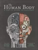 KNYGA Richard Walker The Human Body