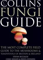 KNYGA Stefan Buczacki Collins Fungi Guide