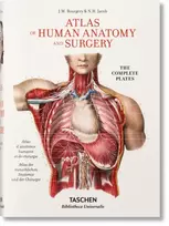 KNYGA J M Bourgery Bourgery. Atlas of Human Anatomy and Surgery