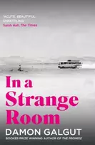 KNYGA Damon Galgut In a Strange Room