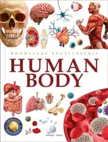 KNYGA Wonder House Books Knowledge Encyclopedia Human Body