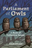 KNYGA Chloe Rhodes Parliament of Owls