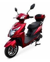 Elektrinis mopedas Z1000 1000w