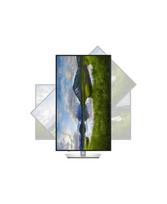 Dell P3225QE | 32 " | IPS | 4K UHD | 16:9 | 100 Hz | 5 ms | 3840 x 2160 pixels | 350 cd/m² | HDMI ports quantity 1 | Warra