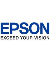 Epson T13L2 XL (C13T13L240) Rašalinė kasetė, Žydra