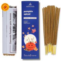 Calmveda Winter Pumpkin Spice Incense Sticks - 80 Insenses Charcoal Free blue