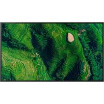 Televizorius Sony FW-55BZ35P LED 55" Ultra HD Android (FW55BZ35PB.CEI) | FW55BZ35PB.CEI | 4548736172937