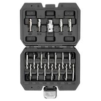 Antgalių rinkinys sugadintiems Torx ir Hex varžtams 19vnt.