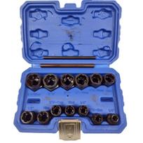 Galvučių rinkinys sugadintiems varžtams 3/8" 15vnt. 6-19mm