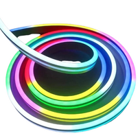 Girlianda žarna neoninė 5m Spalvota RGB