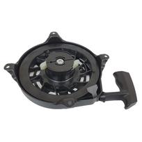 Starteris žoliapjovėms Briggs&Stratton ir kt.