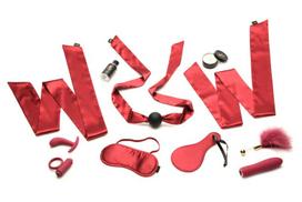 BDSM ir fetišo rinkinys XR Brands