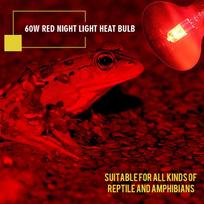 60 W infraraudonųjų spindulių šilumos lempa Raudonos šviesos stiklo šildymo lempos lemputė driežams ir varliagyviams red