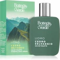 Vyriškas tualetinis vanduo BOTTEGA VERDE CEDRO SELVAGGIO 50 ml