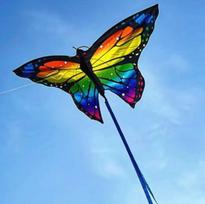 Aitvaras Butterfly 1,40 m lauko žaidimams
