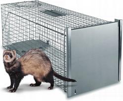 Gyvūnų gaudyklė 80x29x31 cm PL LARGE TRAP