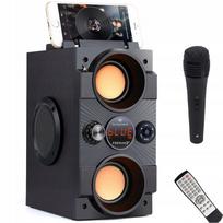 Bluetooth kolonėlė Feegar Dance su radiju, USB, SD, AUX 3.5 mm, karaoke mikrofonas