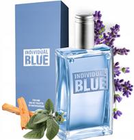 Tualetinis vanduo Individual Blue, 100 ml