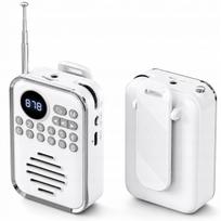 Nešiojama Bluetooth 5.0 FM radijo kolonėlė, 5 W, MP3, USB-C, microSD
